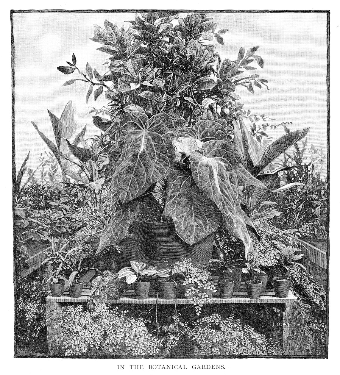 I den botaniske hagen, 1886 av Unbekannt