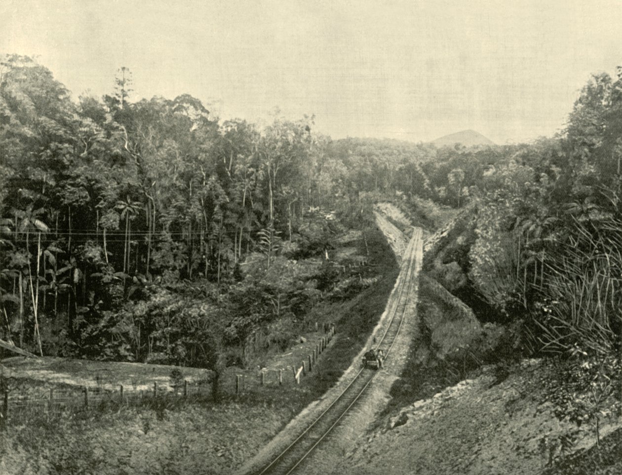 I Blackall Ranges, 1901. av Unbekannt
