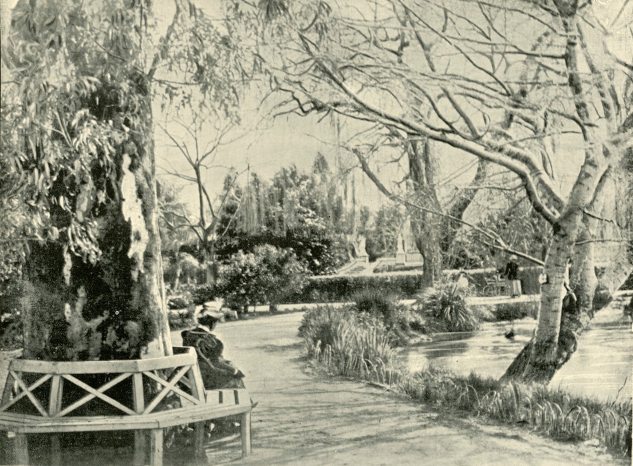I den botaniske hagen, Adelaide, 1901. av Unbekannt
