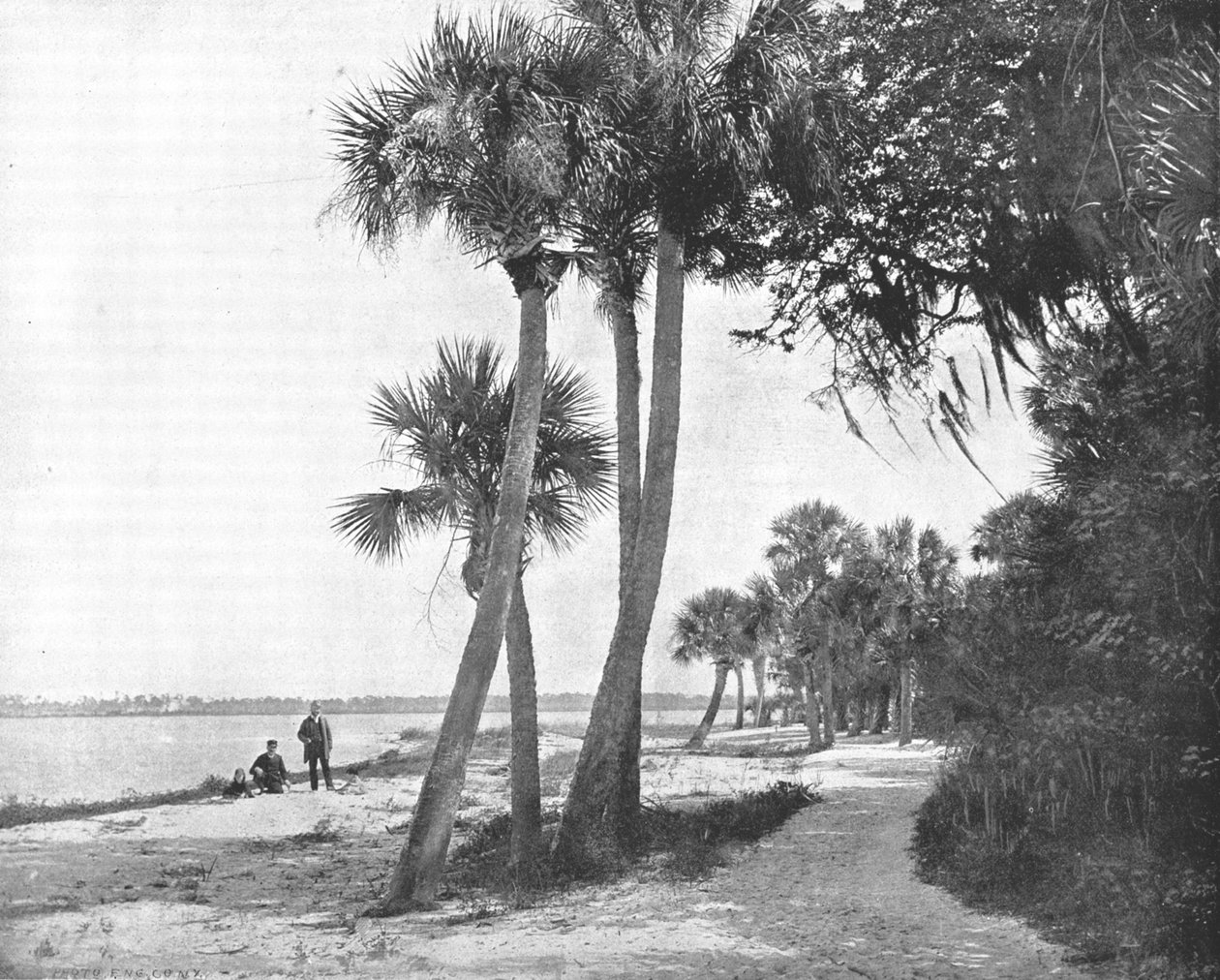 Indian River, Florida, USA, c1900. av Unbekannt