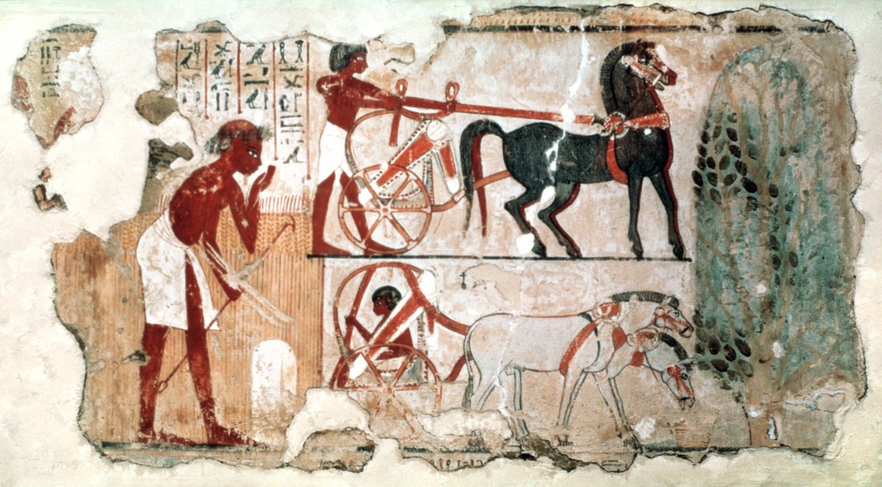 Inspeksjon av feltene, 1350 f.Kr av Unbekannt