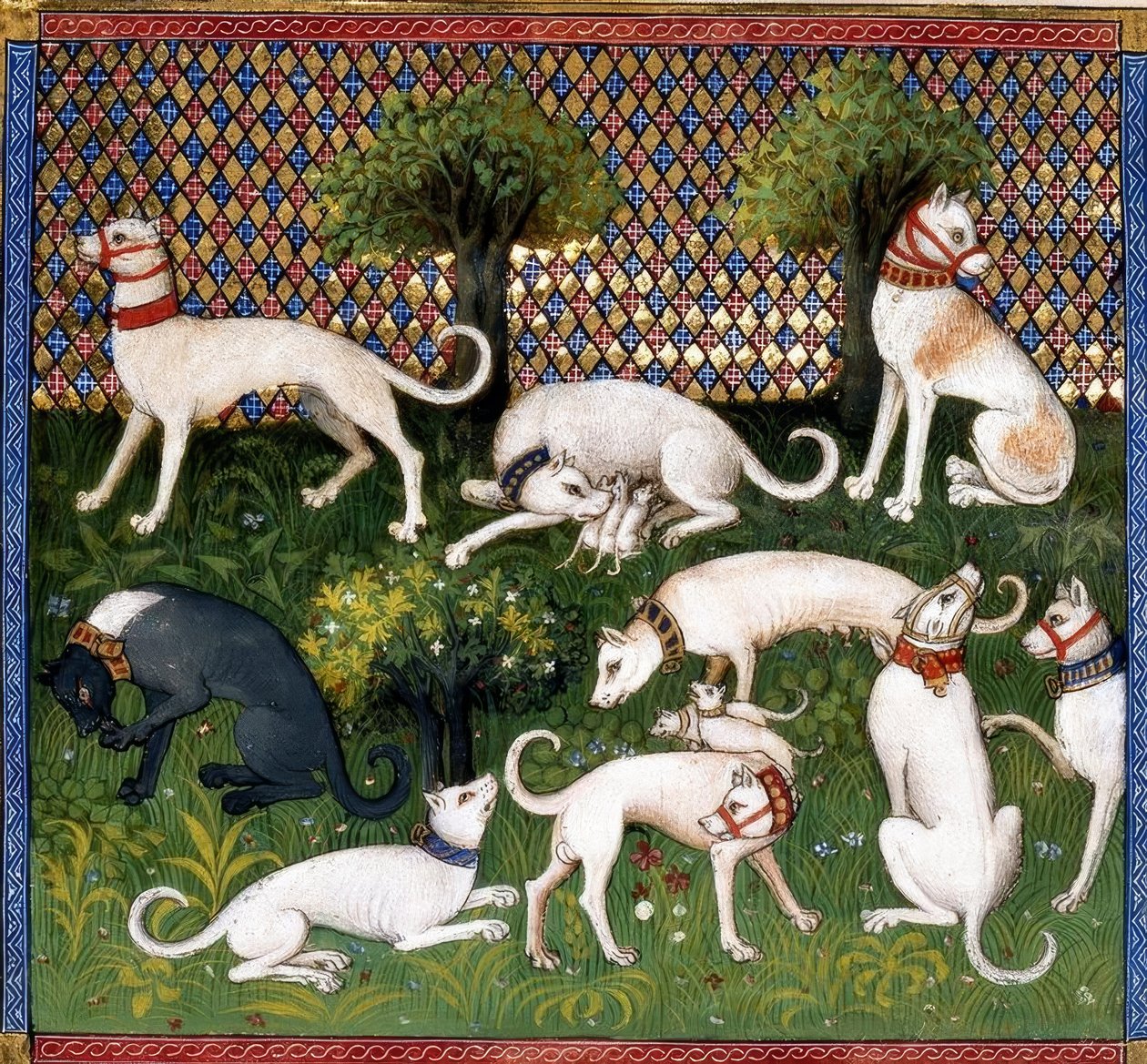 Jagdhunde (Alan) / Jaktens bok av Unbekannt