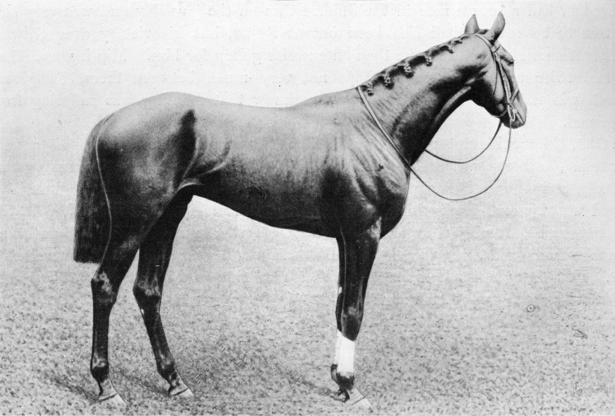 Jeddah, 1895-1909, 1911 av Unbekannt
