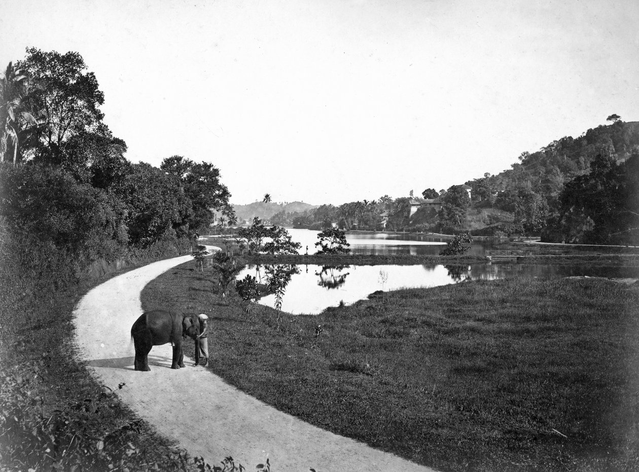 Kandy Lake, Kandy, Sri Lanka, ca 1910-tallet av Unbekannt