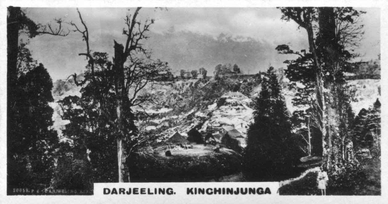 Kinchinjunga fra Beechwood, Darjeeling, India, c1925 av Unbekannt