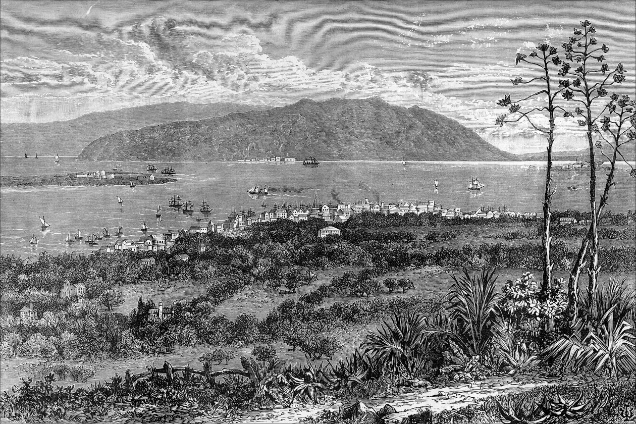 Kingston Harbour, Jamaica, c1880 av Unbekannt