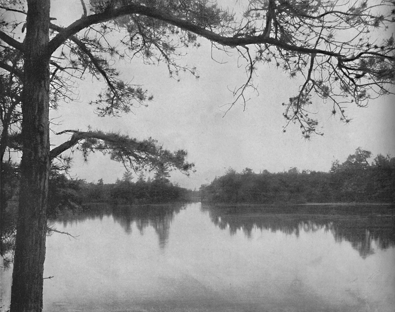 Lake of the Isles, Thousand Islands, c1897. av Unbekannt