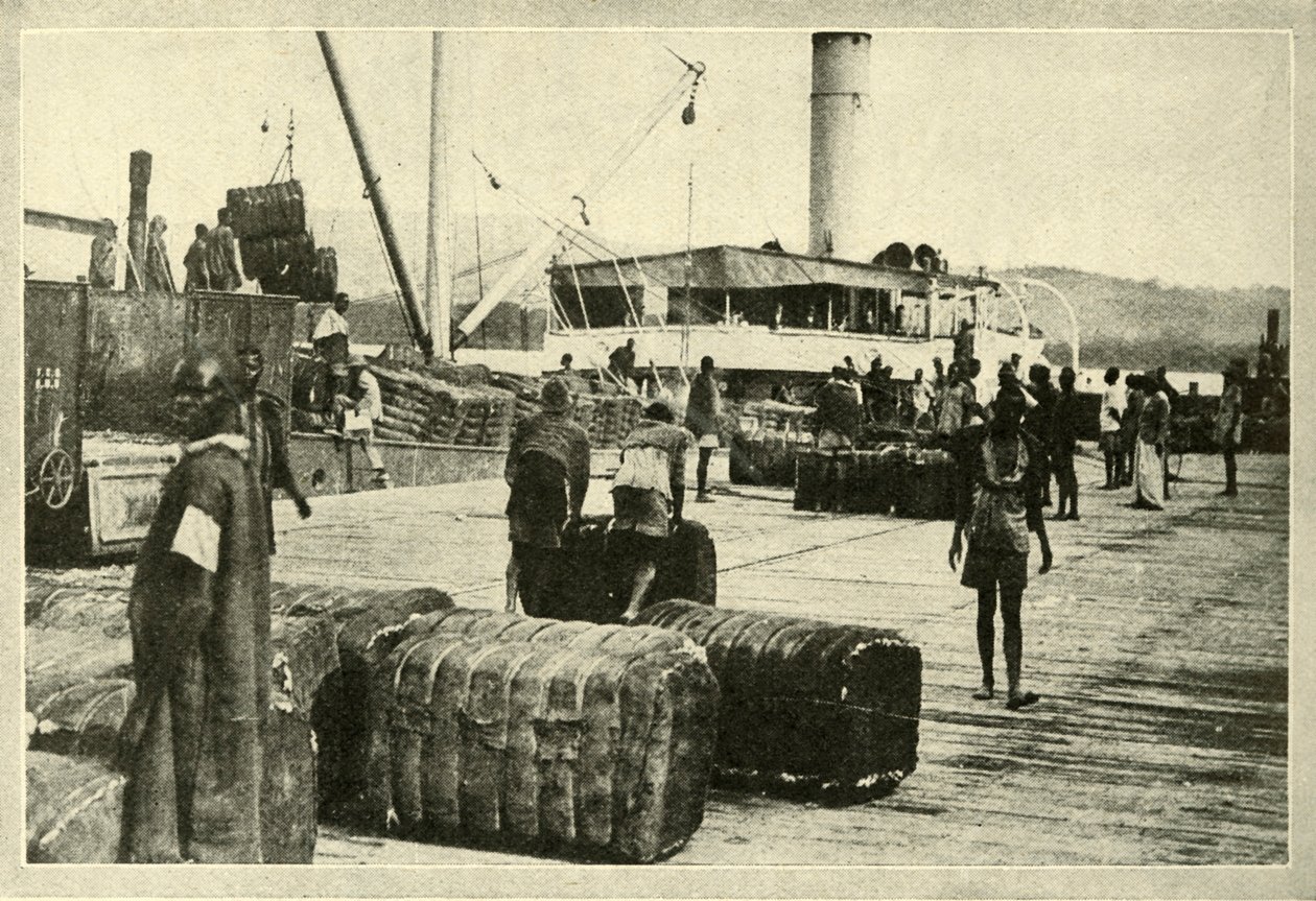 Laster en last av bomull, c1948. av Unbekannt