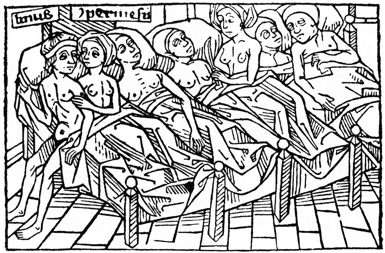 Lynceus og Hypermnestra, 1479 1964. av Unbekannt