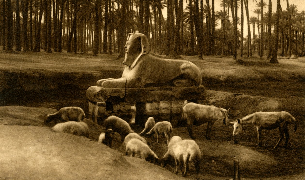 Memphis - Alabastersfinksen, c1918-c1939. av Unbekannt