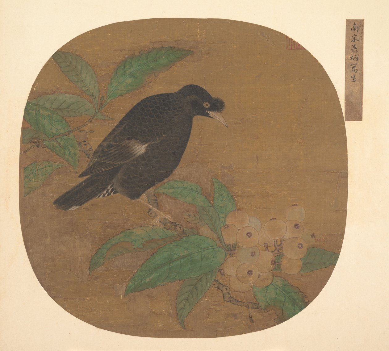Minah Bird på en Loquat-gren. av Unbekannt
