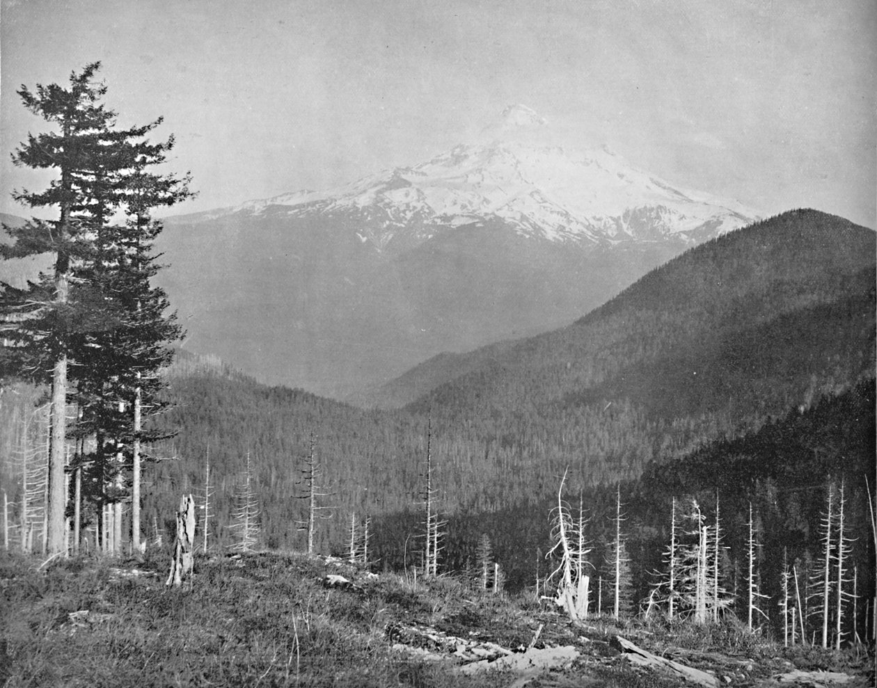 Mount Hood, Oregon, c1897. av Unbekannt