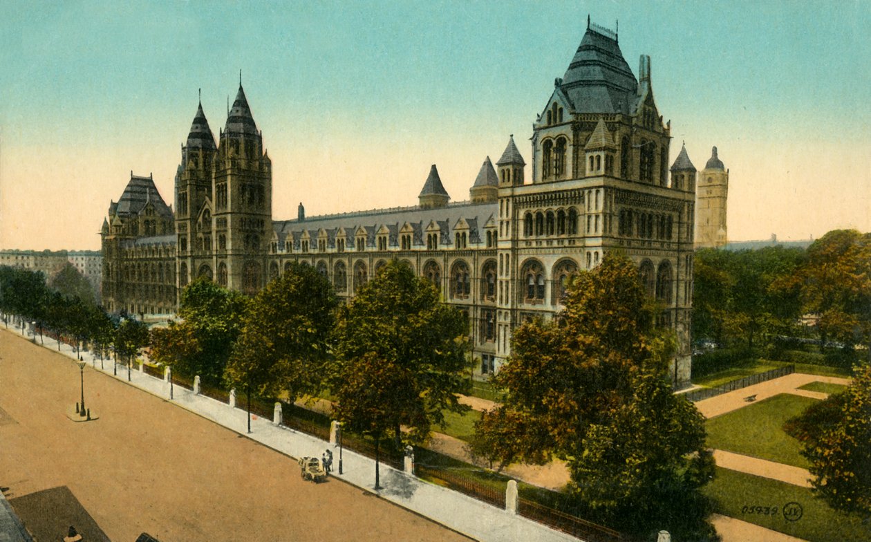 Natural History Museum, London, c1910. av Unbekannt