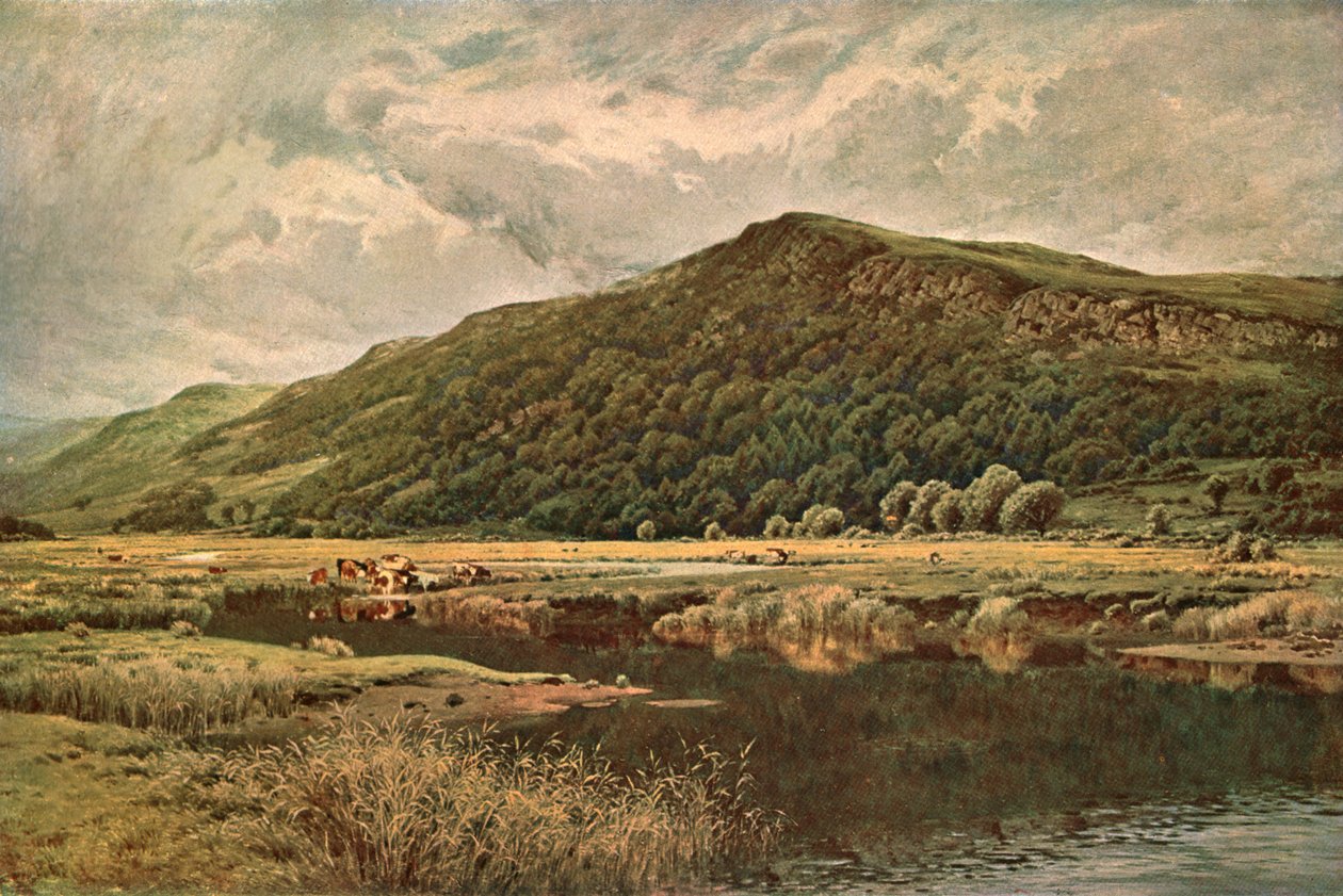 Naturs Mirror, 1882, c1902. av Unbekannt