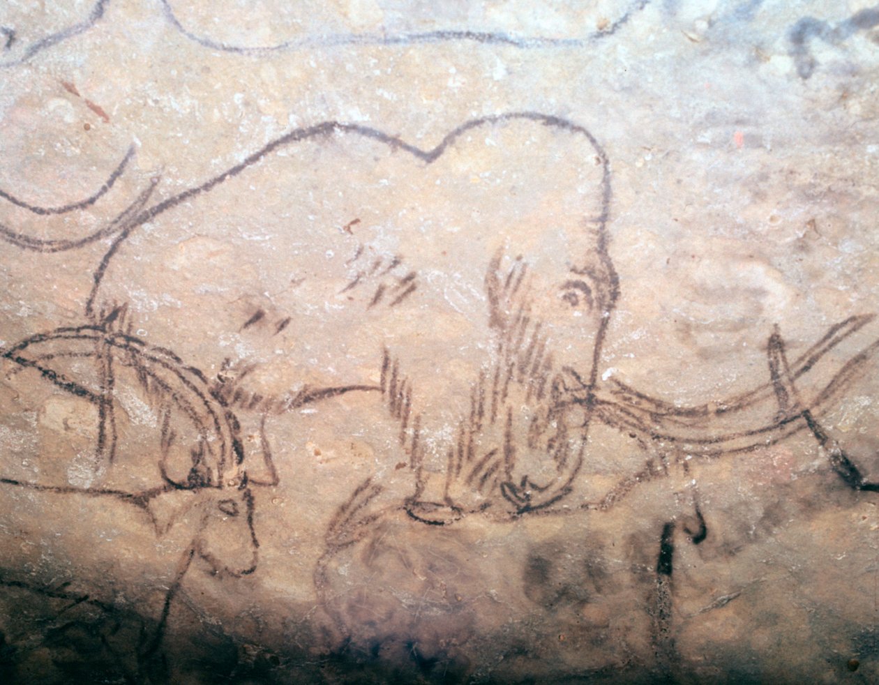 Neolittisk hulemaleri av mammut og steinbukker av Unbekannt