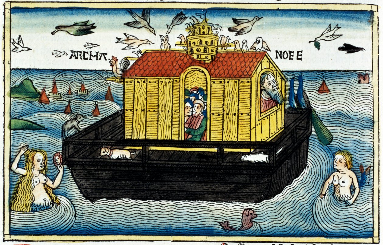 Noahs ark av Unbekannt