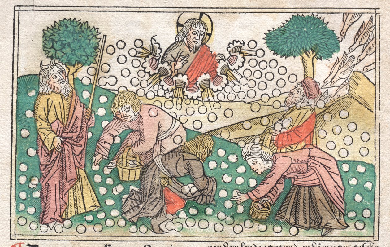 Nüremberg-bibelen: Manna faller fra himmelen, 1400-tallet. av Unbekannt