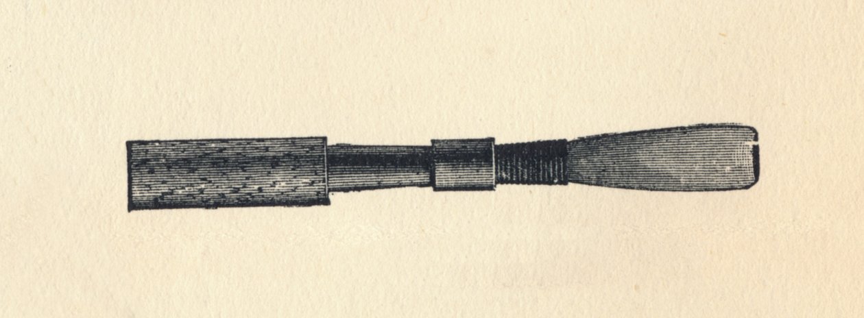 Husk Ray d, 1895. av Unbekannt