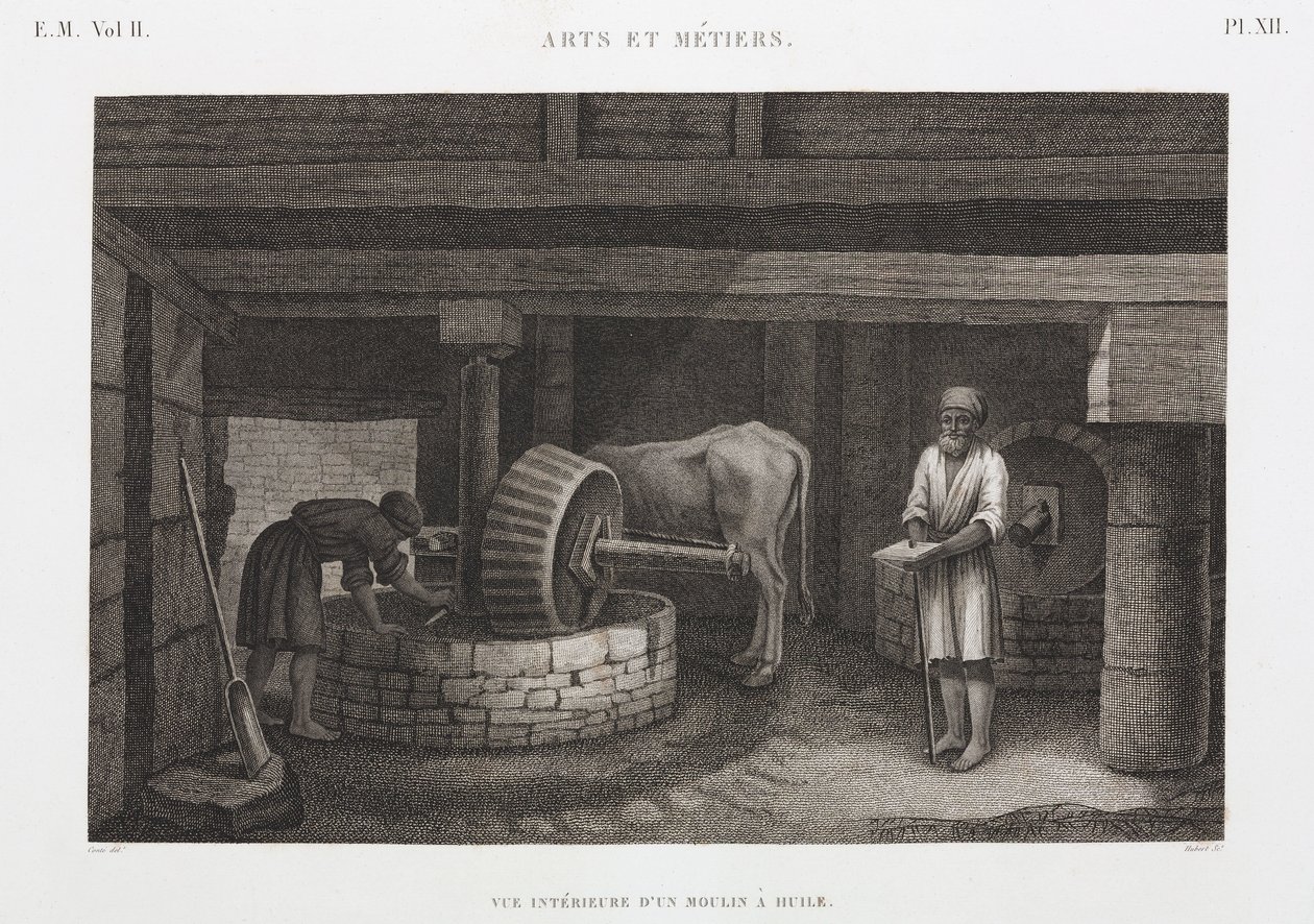 Oljer, fett og voks Oljefabrikk, Egypt, ca 1798 av Unbekannt