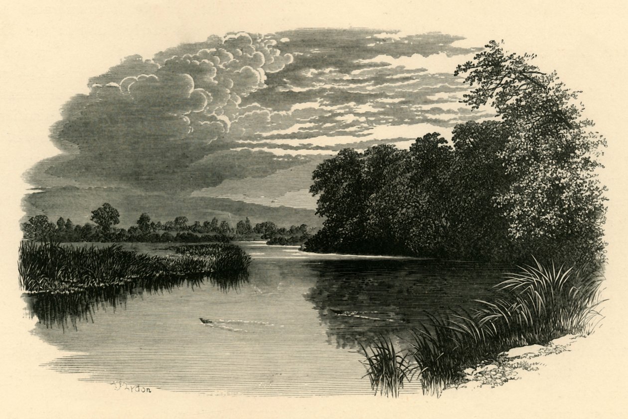 På Avon. Strensham Reach, c1890. av Unbekannt