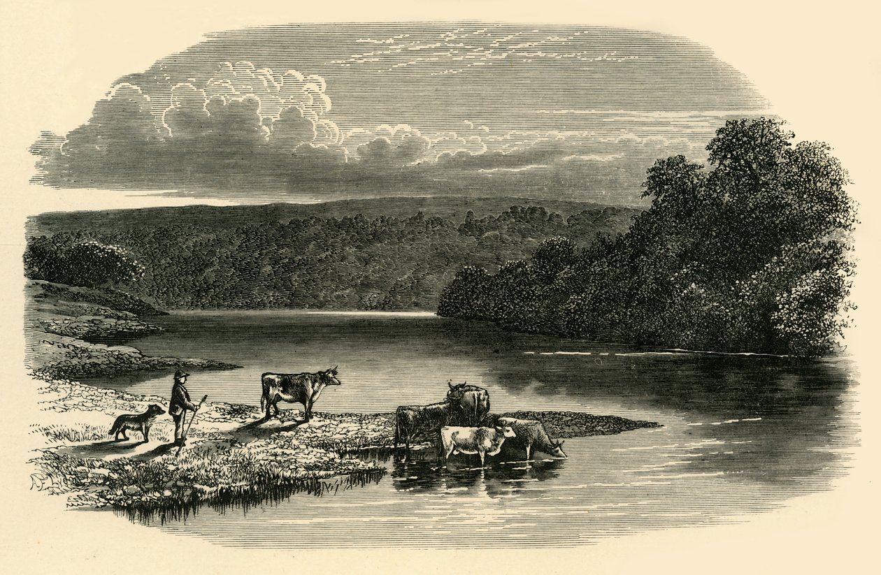 On the Dee, c1890. av Unbekannt