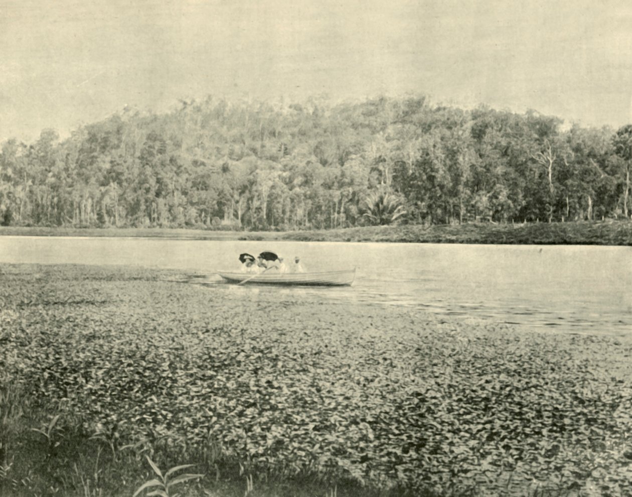 På Enoggera-sjøen, 1901. av Unbekannt