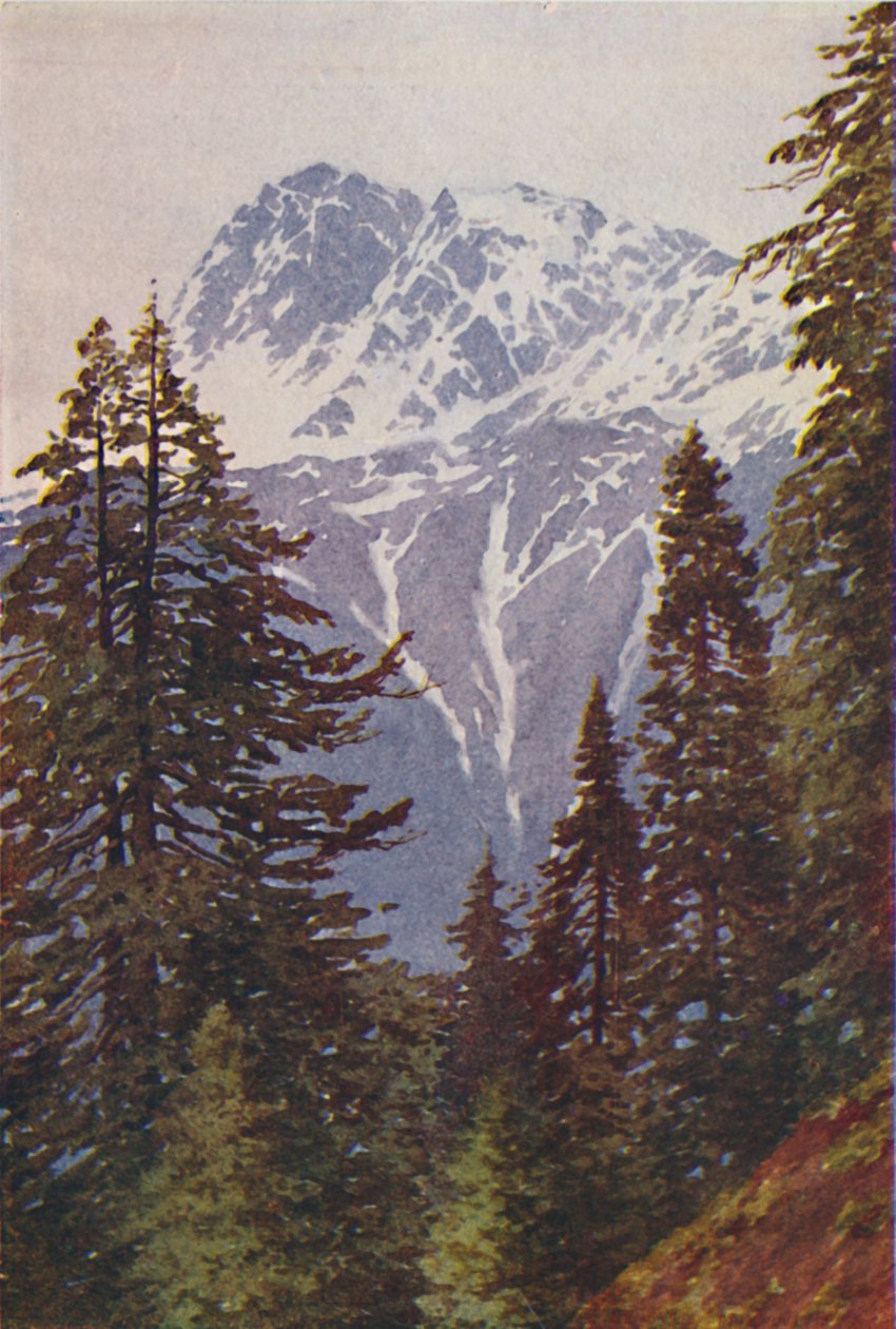 Topp i Himalaya, 1924 av Unbekannt