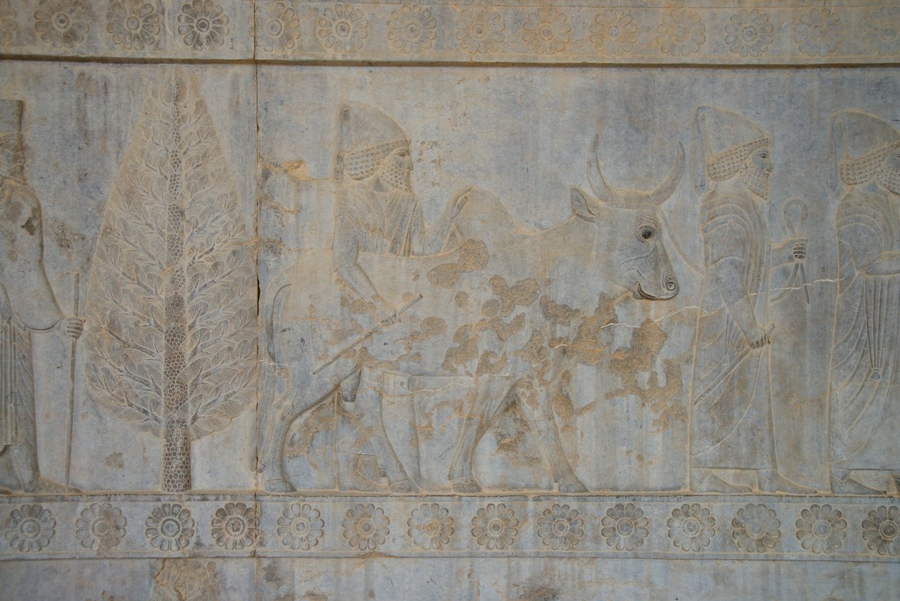 Persepolis, Iran (bilde) av Unbekannt