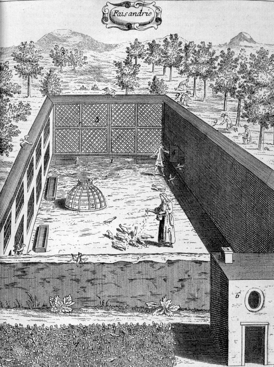 Fasaner, 1775 av Unbekannt