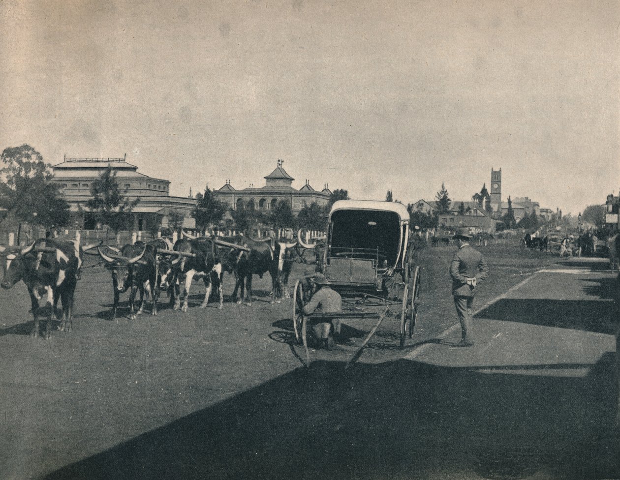 Pietermaritzburg, ca 1900. av Unbekannt