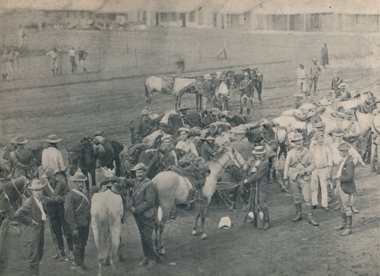 Rørleggerhest, c1900. av Unbekannt
