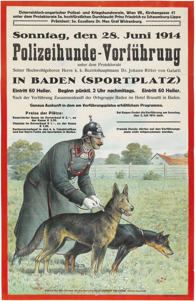 Politihunddemonstrasjon i Baden, 1914. av Unbekannt