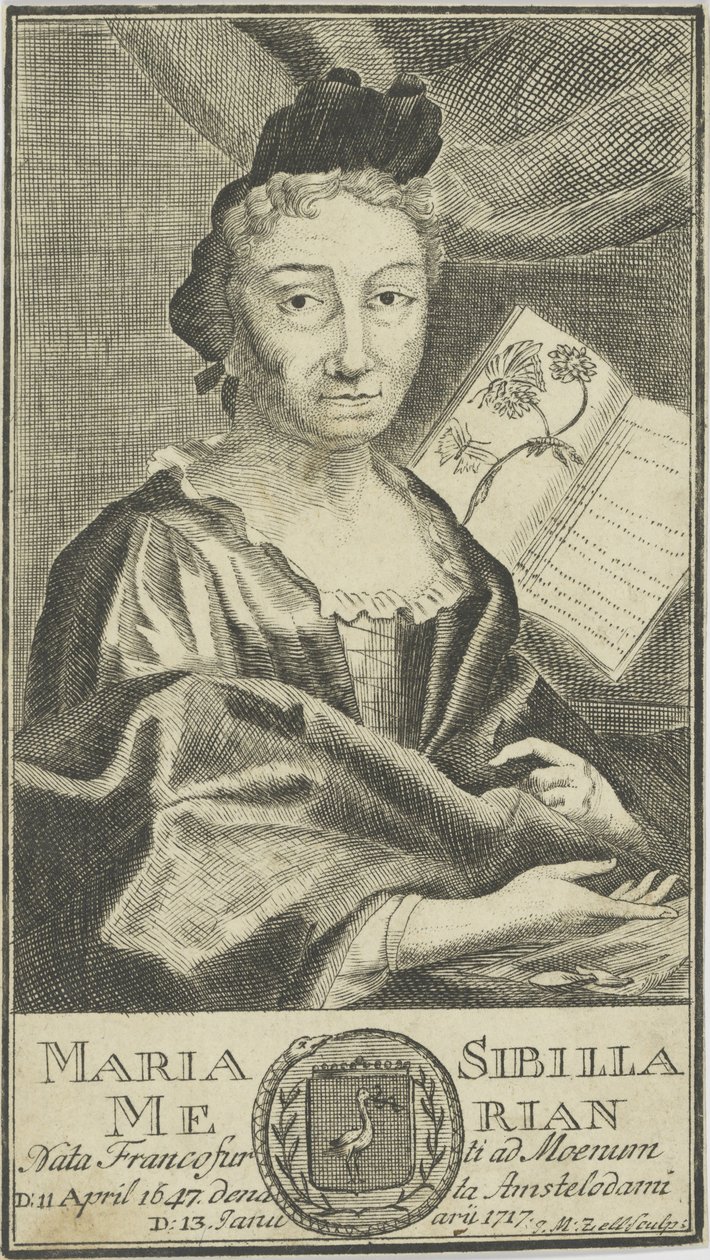 Portrett av Maria Sibylla Merian 1647-1717, 1755. av Unbekannt