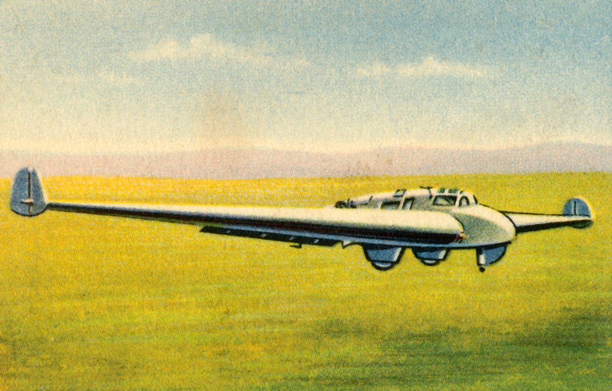 Drevet flyvinge-fly, 1932. av Unbekannt