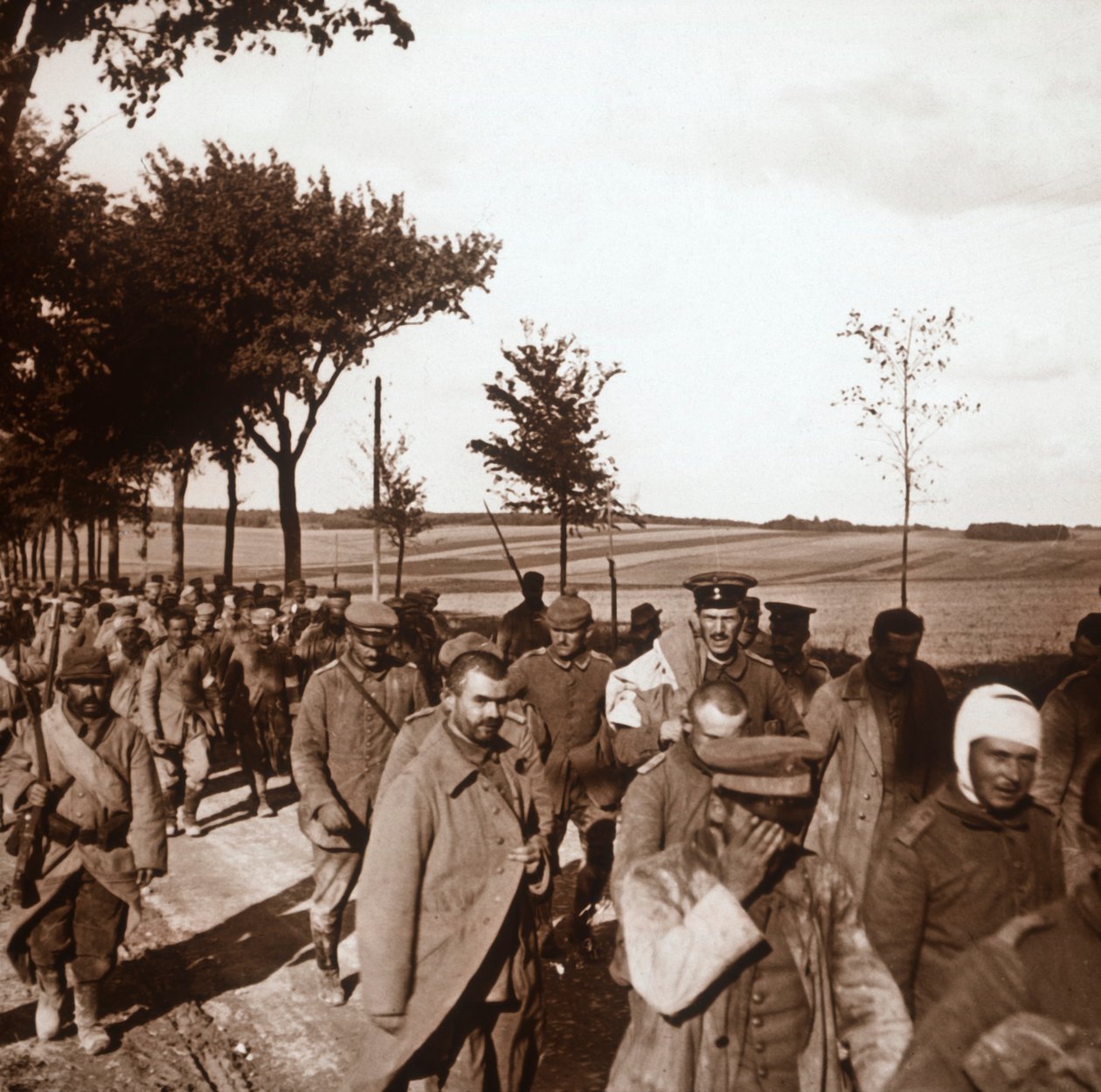 Fanger, Champagne, Nord-Frankrike, c1914-c1918 av Unbekannt