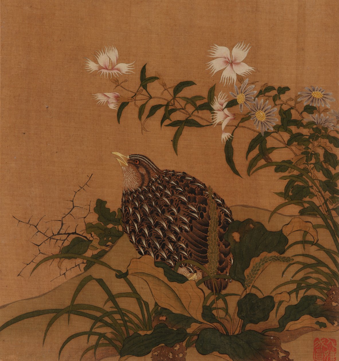 Vaktel og blomster, Qing-dynastiet, 1700-tallet. av Unbekannt