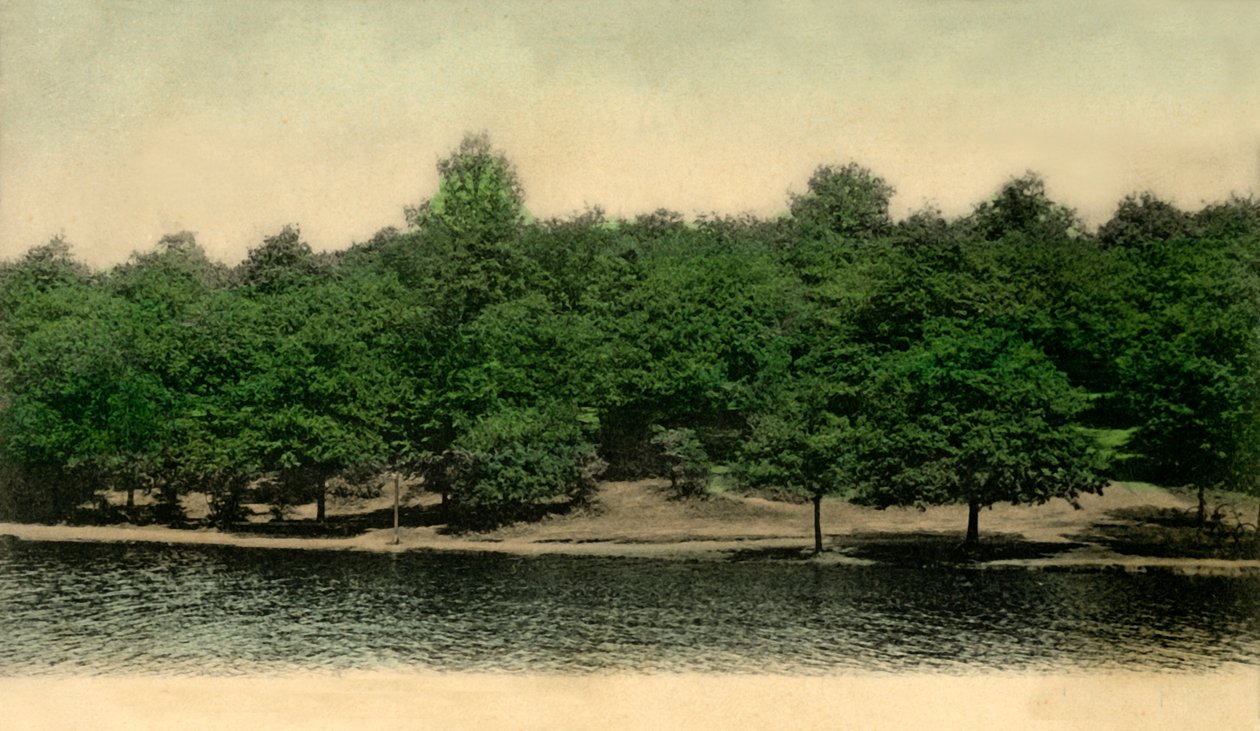 Queensmere, Wimbledon Common, London, 1903. av Unbekannt