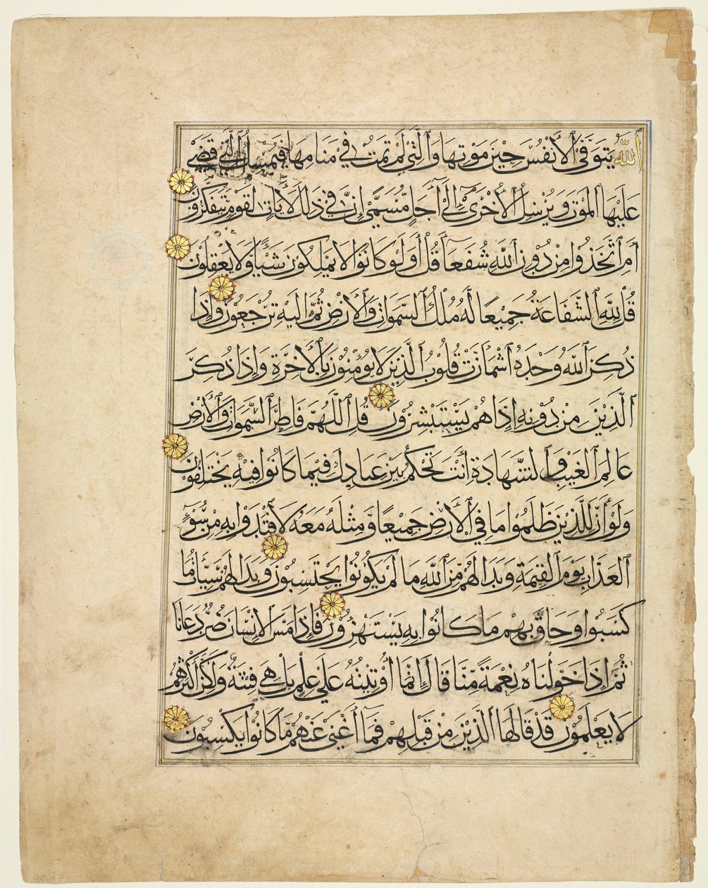 Koranmanuskriptfolio, 1300-tallet. av Unbekannt