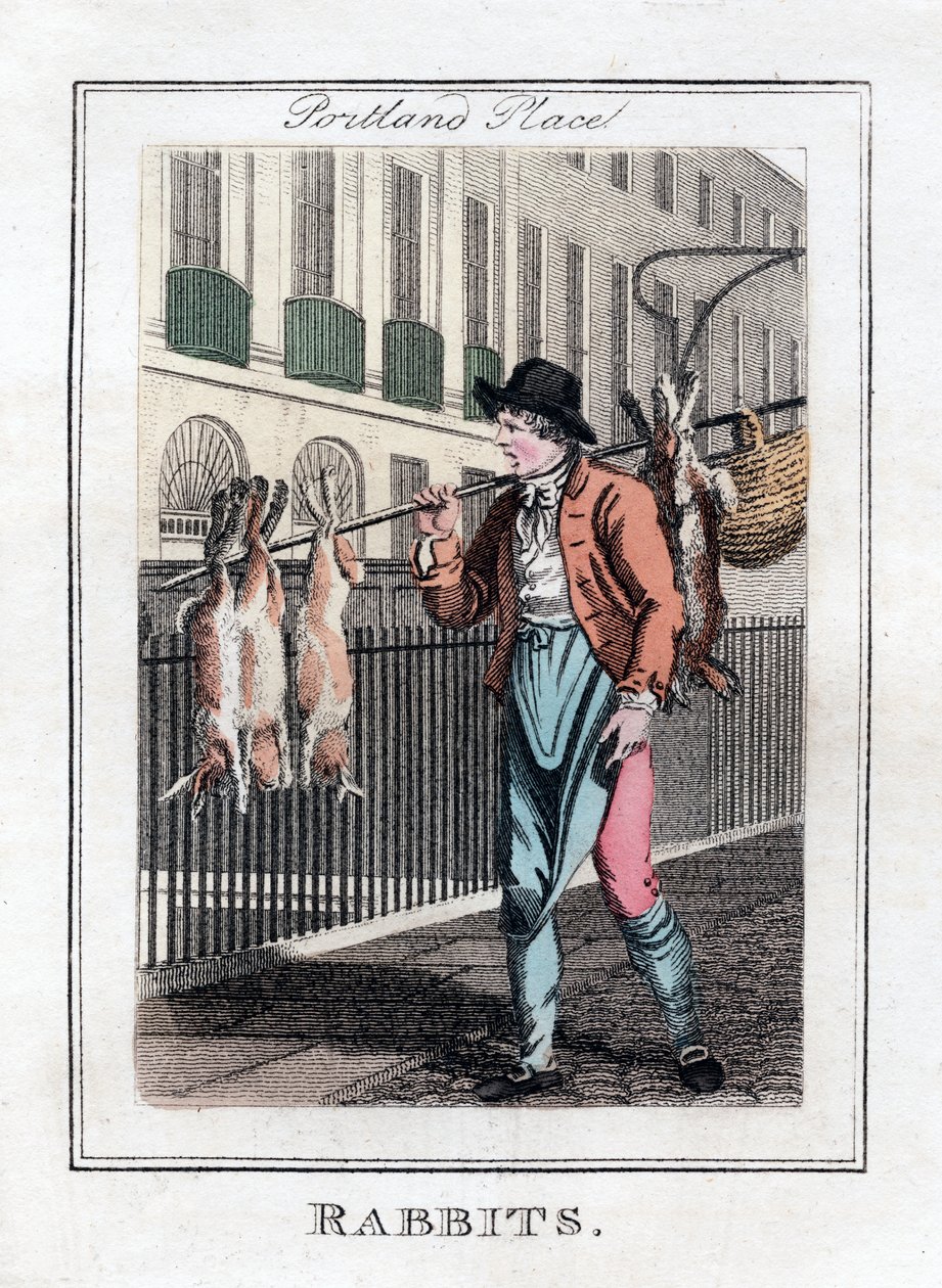 Kaniner, Portland Place, London, 1805 av Unbekannt