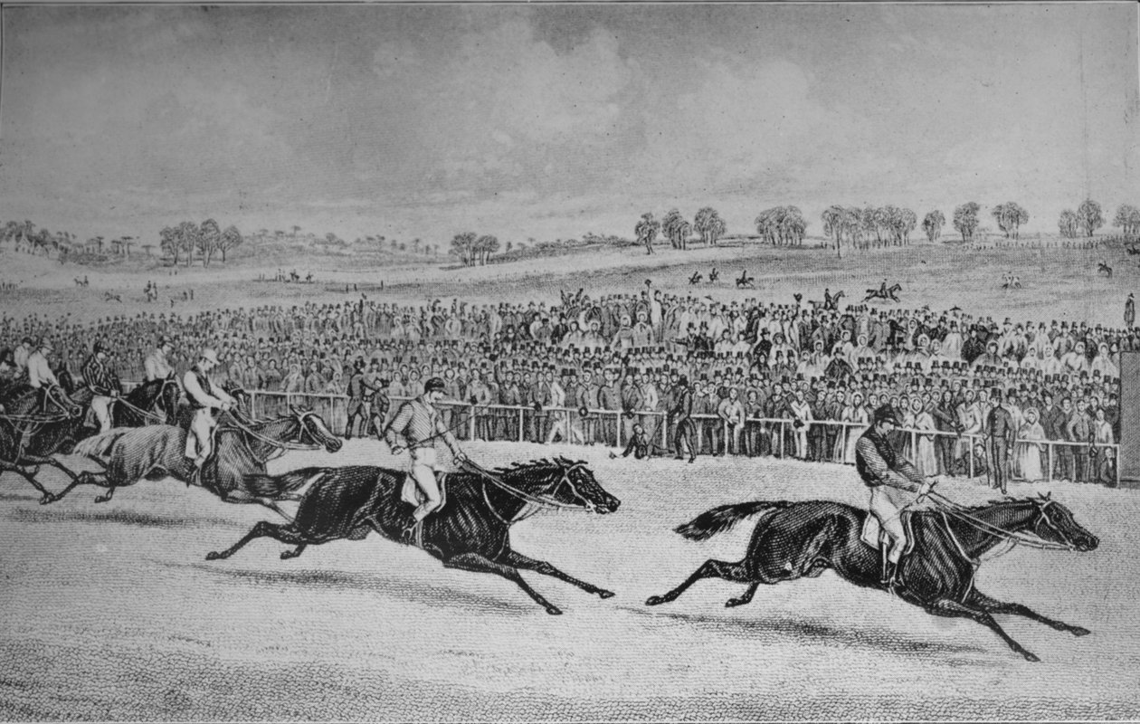 Race for St. Leger, 1911 av Unbekannt