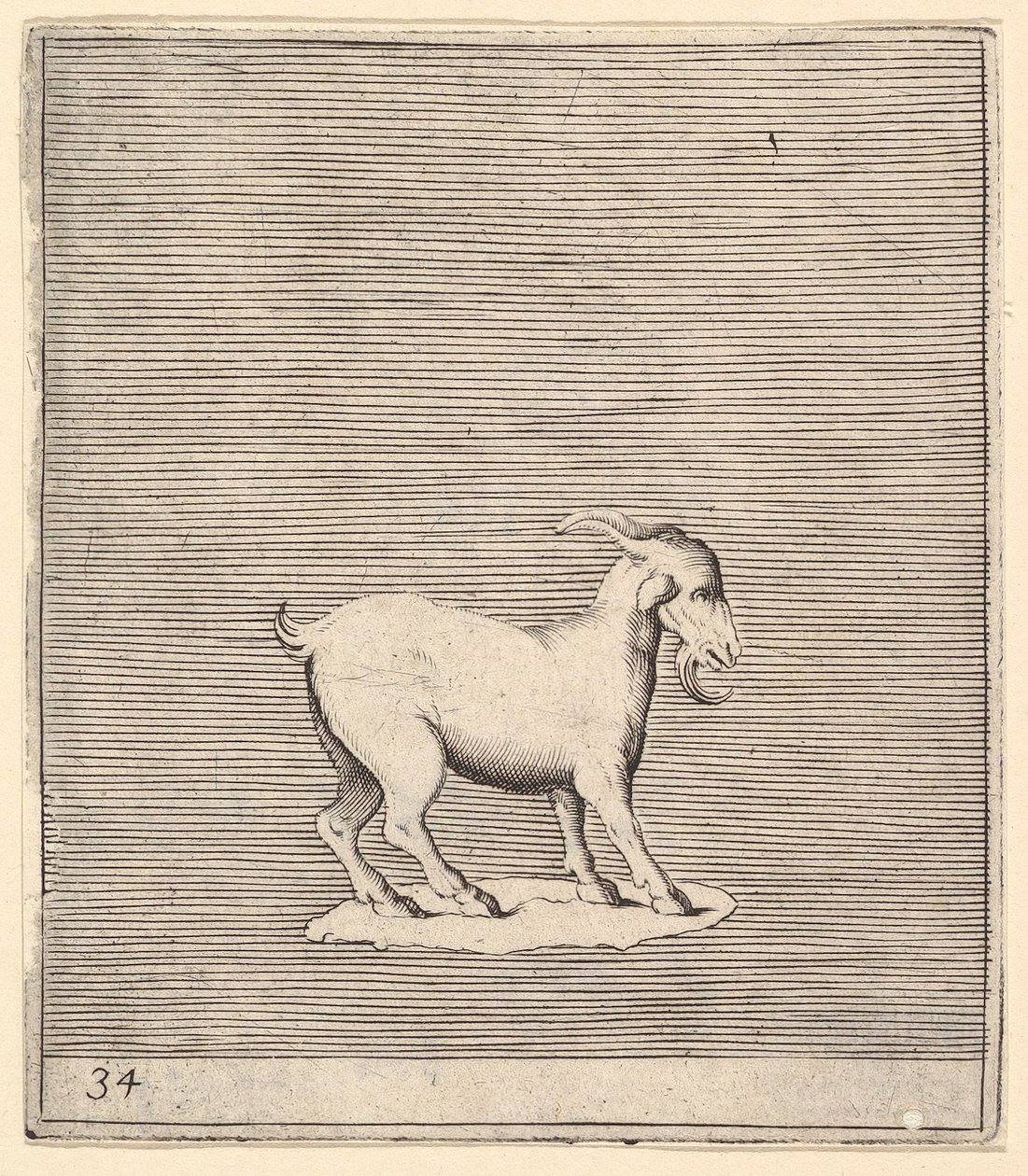 Ram, utgitt ca. 1599-1622. av Unbekannt