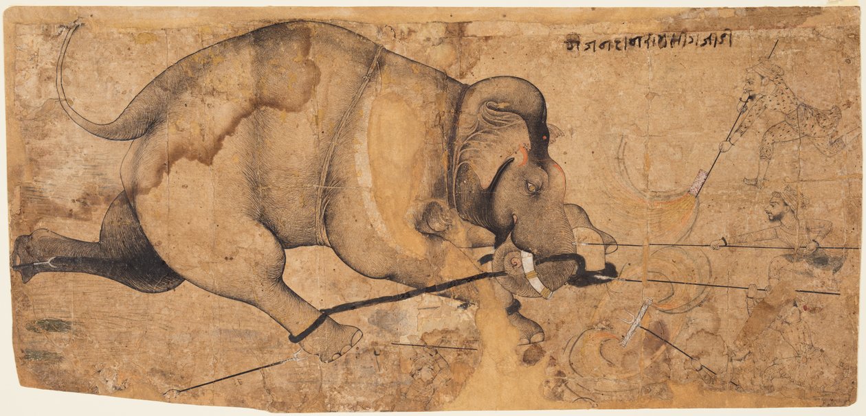 Rao Ram Singhs Elephant Gone Amok, ca. 1700. av Unbekannt