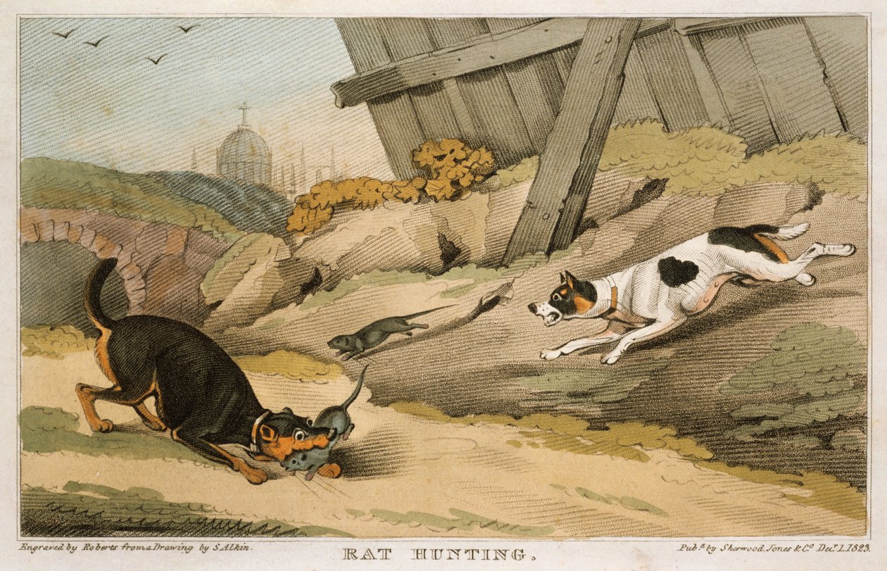 Rottejakt, 1823 av Unbekannt