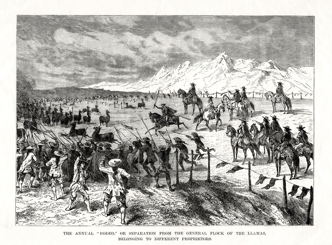 Rodeo, Sør-Amerika, 1877 av Unbekannt