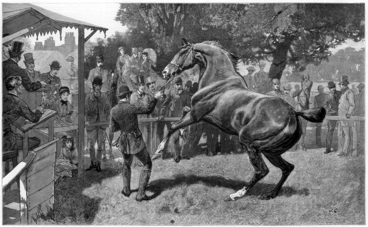 Salg av jegere reisning og innsigelse, 1885 av Unbekannt