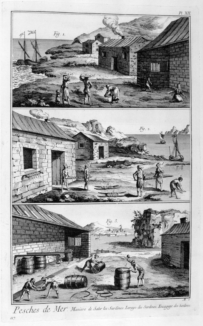 Salting, vasking, pakking av sardiner, 1751-1777 av Unbekannt