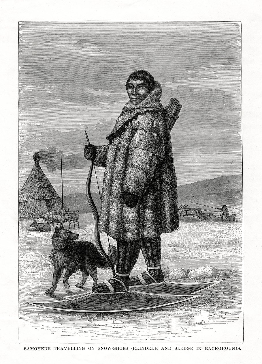 Samoyede reiser på snøsko, Russland, 1877 av Unbekannt