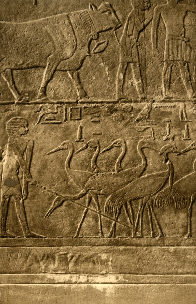 Saqqara - Tomb of Ti veggmalerier, c1918-c1939. av Unbekannt