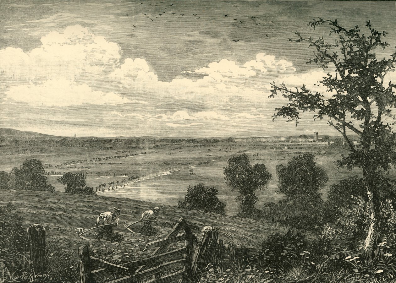 Sedgemoor, fra Middlezoy, 1898. av Unbekannt