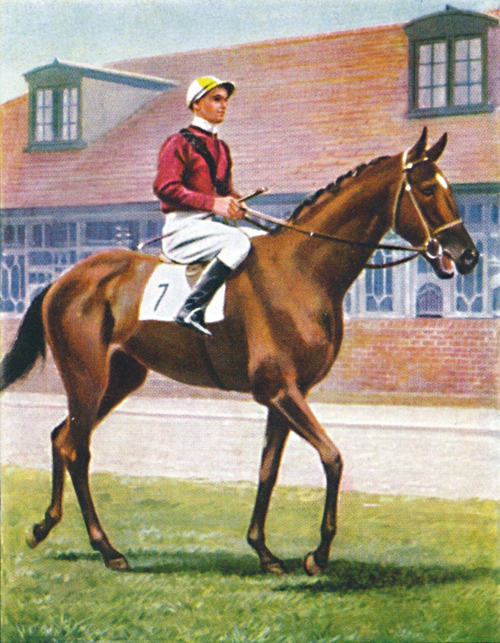 Senor, jockey: J. Crouch, 1939 av Unbekannt